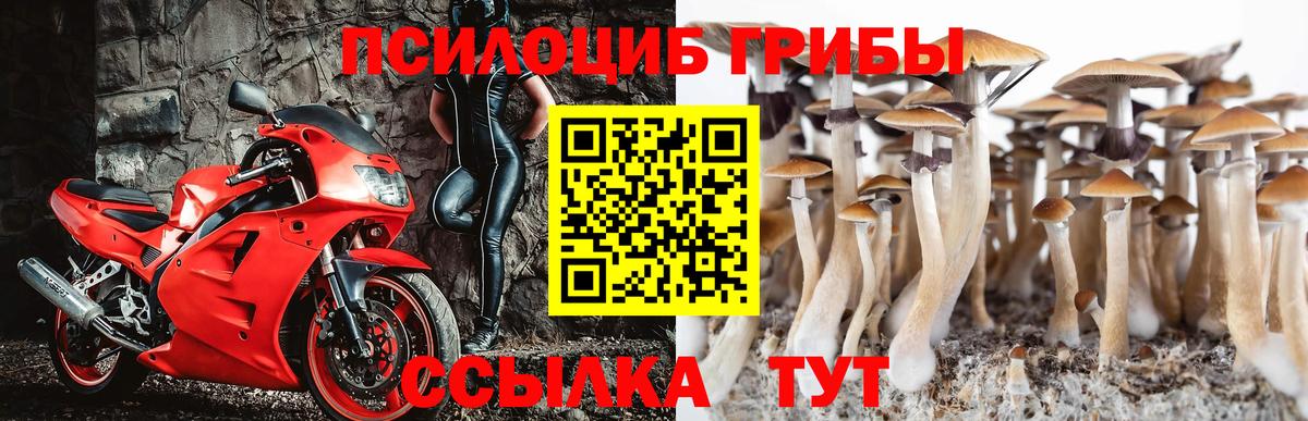 Галлюциногенные грибы прущие грибы Лангепас